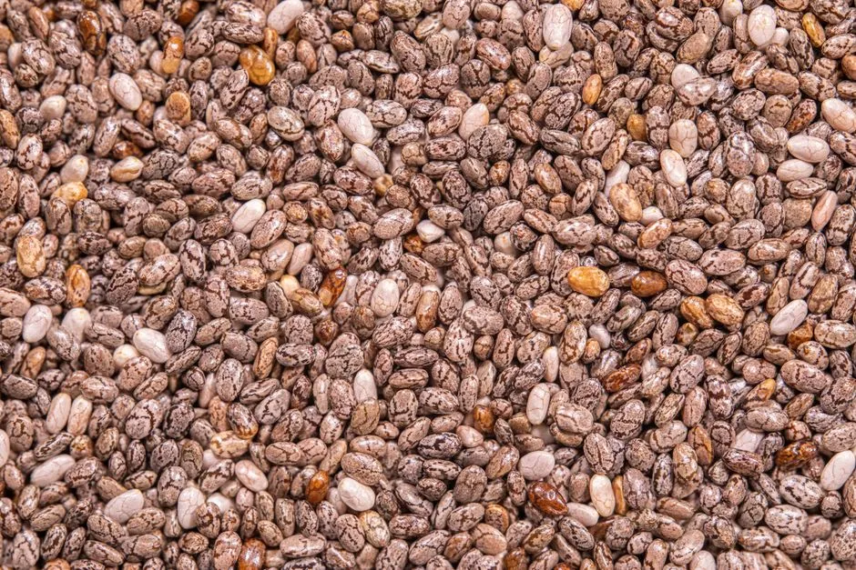 Refried Beans from Canned Pinto Beans